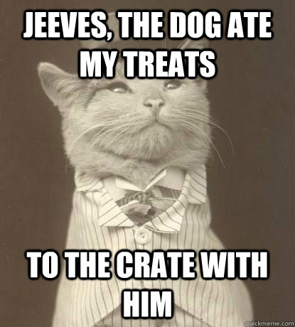 jeeves the dog ate my treats to the crate with him - Aristocat
