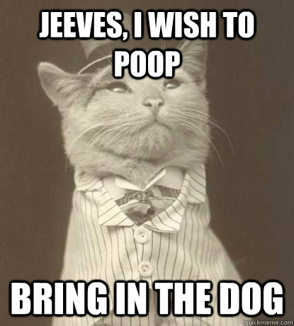 jeeves i wish to poop bring in the dog - Aristocat