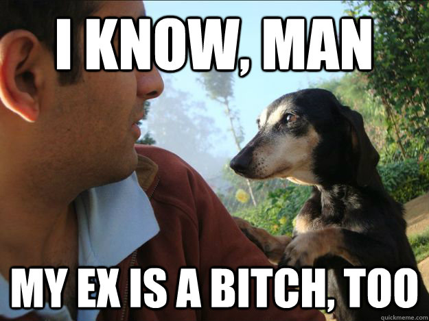 i know man my ex is a bitch too - Consoling Canine