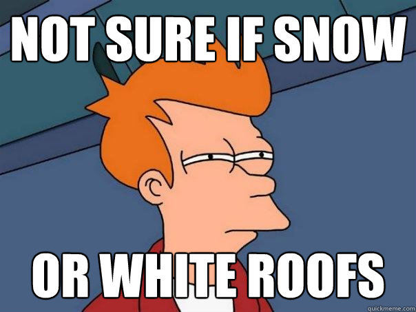 not sure if snow or white roofs - Futurama Fry