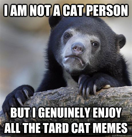 i am not a cat person but i genuinely enjoy all the tard cat - Confession Bear