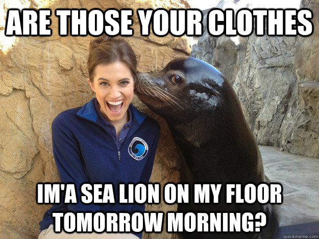 are those your clothes ima sea lion on my floor tomorrow mo - Crazy Secret