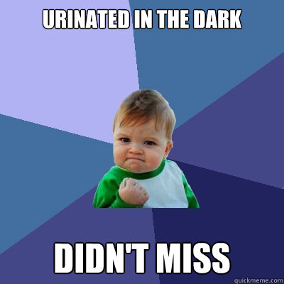 urinated in the dark didnt miss - Success Kid