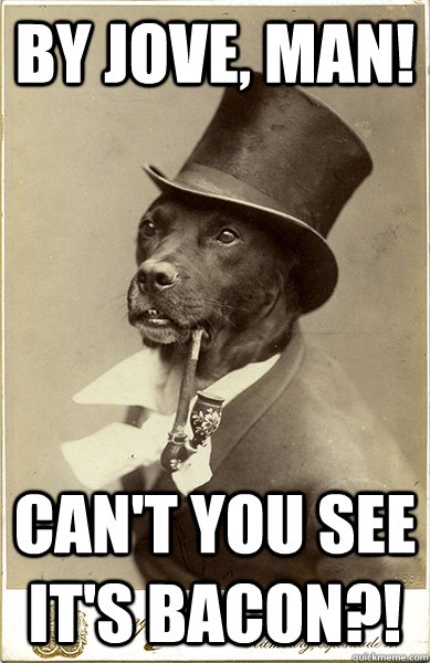 by jove man cant you see its bacon - Old Money Dog