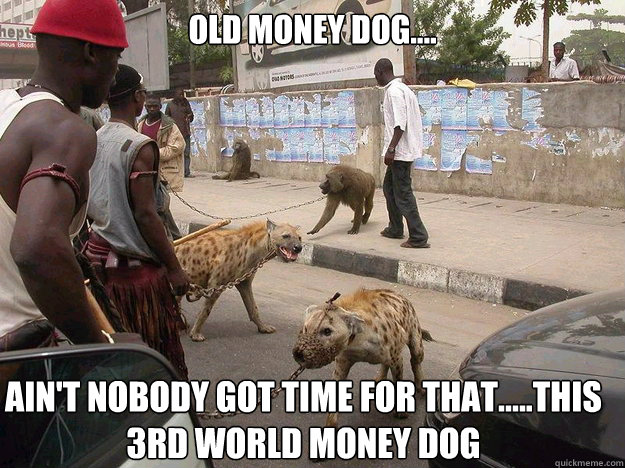 old money dog aint nobody got time for thatthis 3r -
