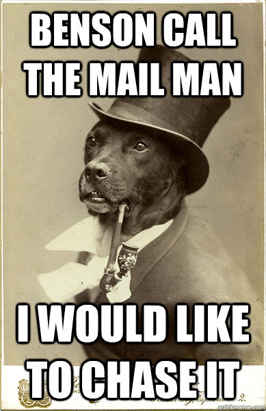 benson call the mail man i would like to chase it - Old Money Dog