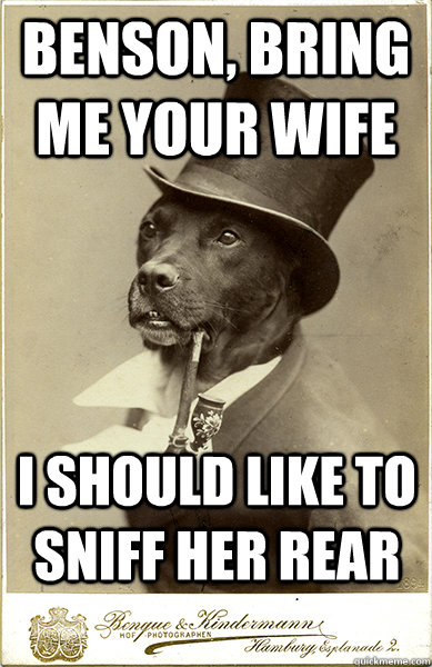 benson bring me your wife i should like to sniff her rear - Old Money Dog