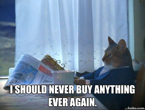 i should never buy anything ever again - Contemplative Breakfast Cat