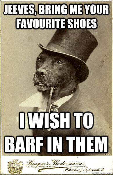 jeeves bring me your favourite shoes i wish to barf in them - Old Money Dog