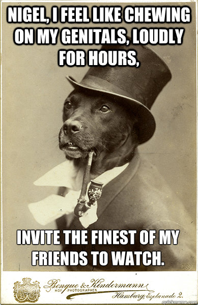 nigel i feel like chewing on my genitals loudly for hours - Old Money Dog