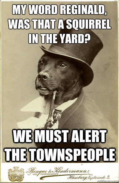 my word reginald was that a squirrel in the yard we must - Old Money Dog