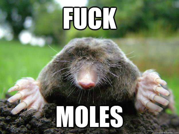 fuck moles -