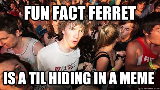 fun fact ferret is a til hiding in a meme - Sudden Clarity Clarence