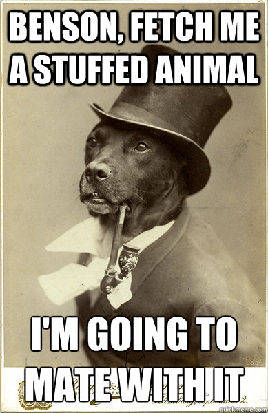 benson fetch me a stuffed animal im going to mate with it - Old Money Dog