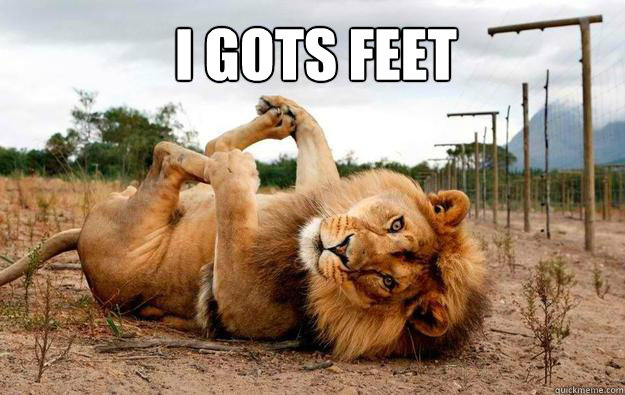 i gots feet - Lion has feets