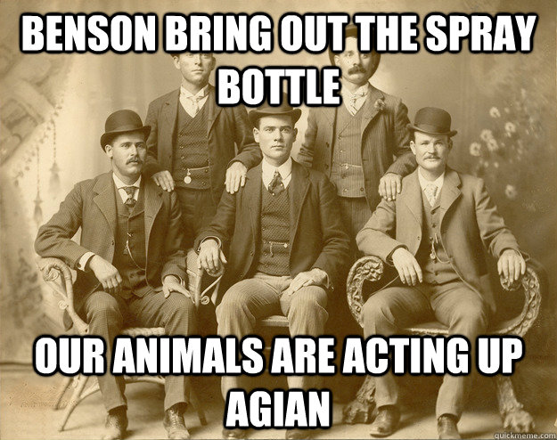 benson bring out the spray bottle our animals are acting up -
