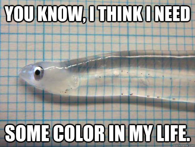you know i think i need some color in my life - transparent fish