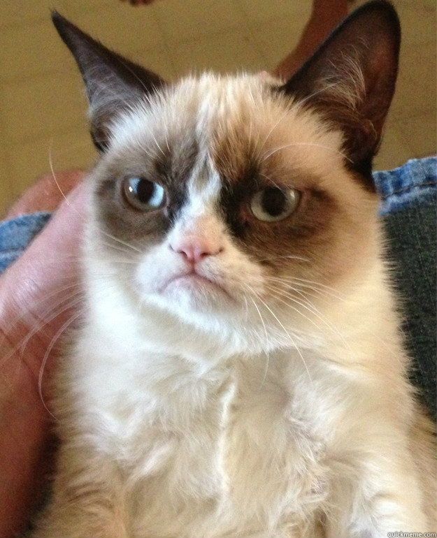 60 - Grumpy Cat