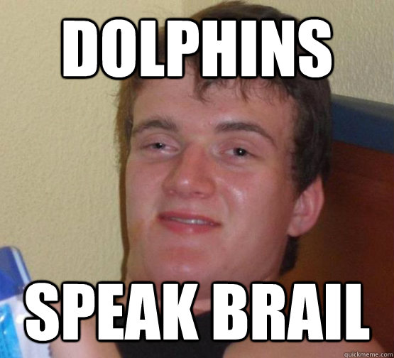 dolphins speak brail - 10guyobtober2