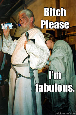bitch please im fabulous -