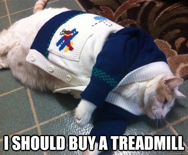 i should buy a treadmill - Boat Cat