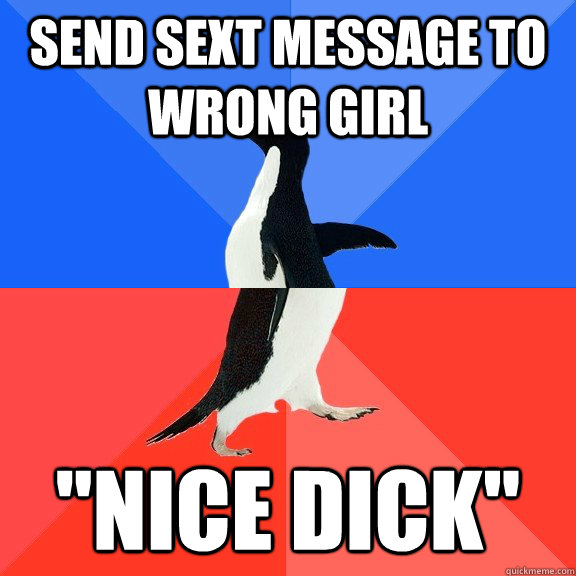 send sext message to wrong girl nice dick - Socially Awkward Awesome Penguin