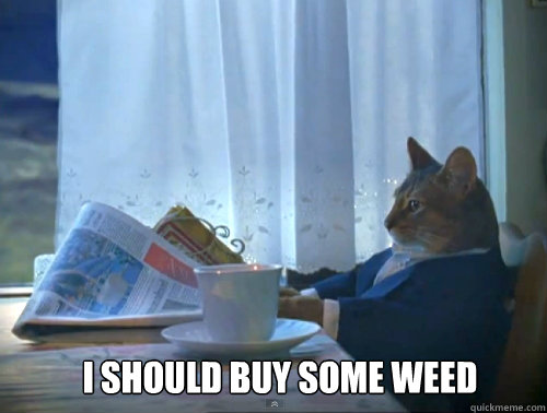 i should buy some weed - 1 Cat