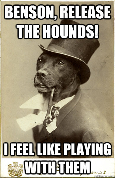 benson release the hounds i feel like playing with them - Old Money Dog