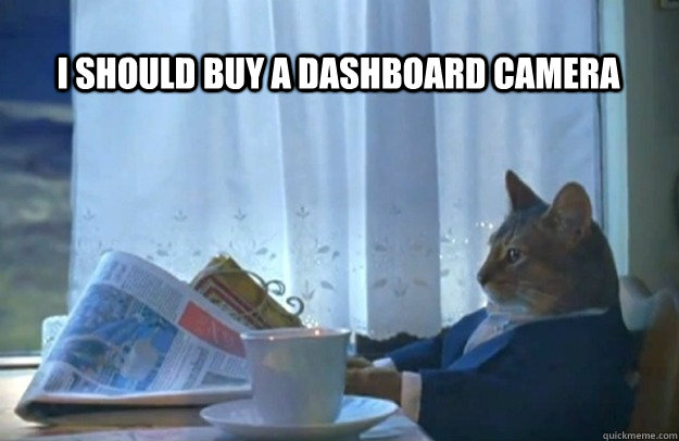 i should buy a dashboard camera - Sophisticated Cat