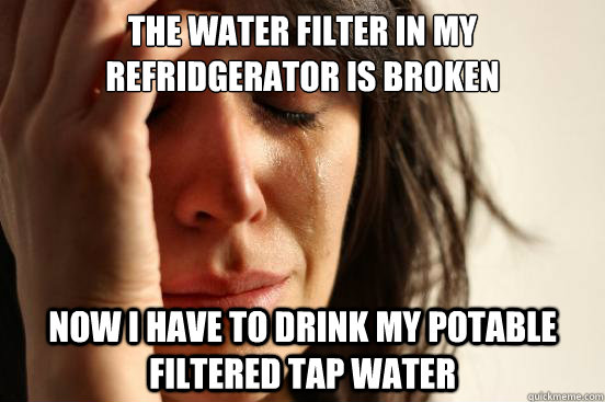the water filter in my refridgerator is broken now i have to - First World Problems