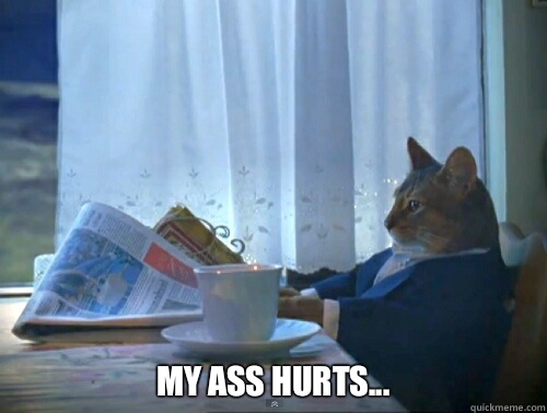 My ass hurts - The One Percent Cat