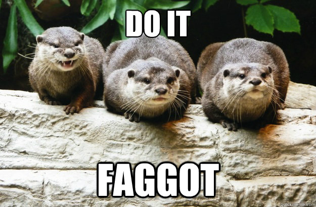 do it faggot - Schadenfreude Otters
