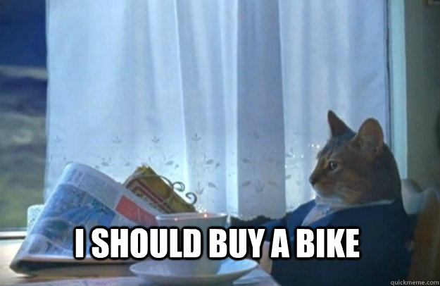 i should buy a bike - Sophisticated Cat