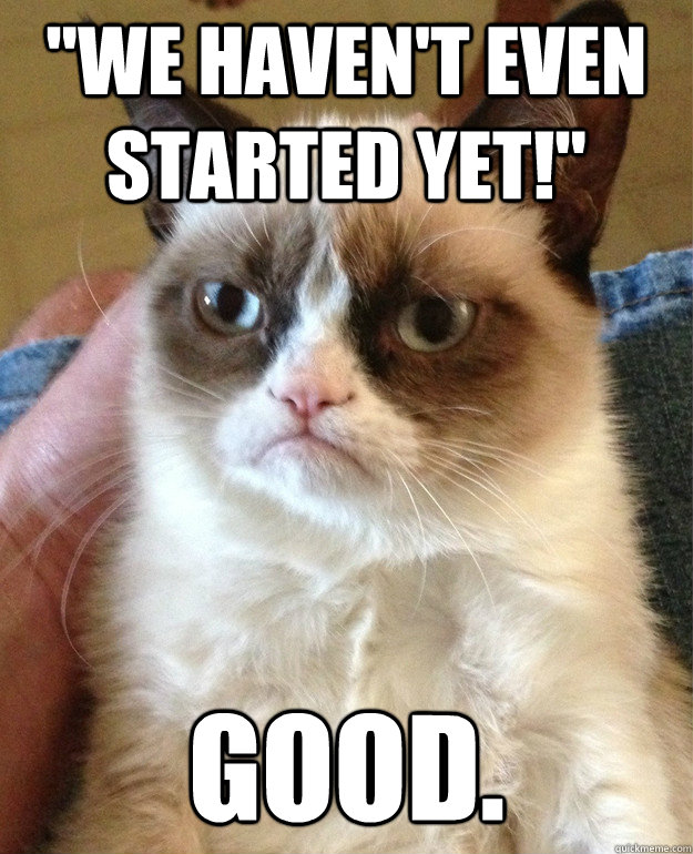 we havent even started yet good - Grumpy cat