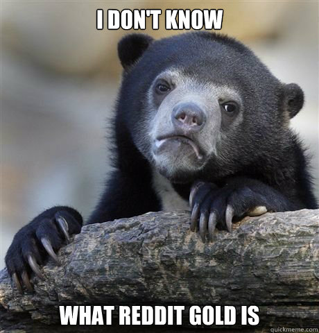 i dont know what reddit gold is - Gaybros Confession Bear