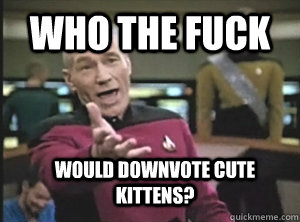who the fuck would downvote cute kittens - Annoyed Picard