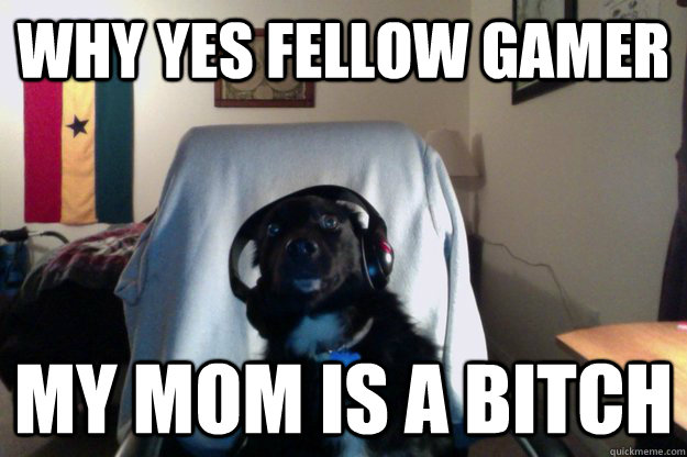 why yes fellow gamer my mom is a bitch -