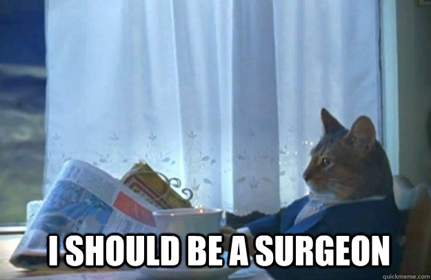 i should be a surgeon - Sophisticated Cat