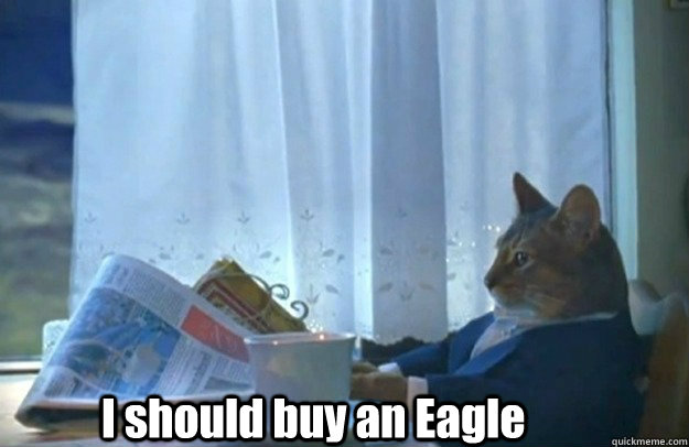 i should buy an eagle - Sophisticated Cat is broke