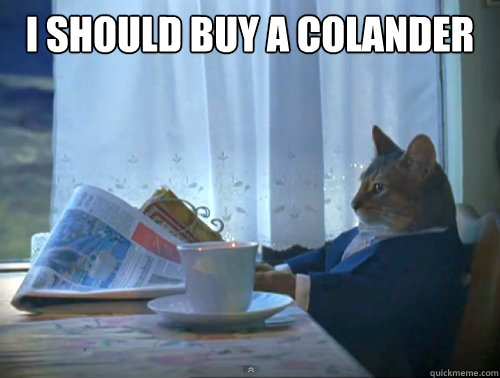 i should buy a colander - The One Percent Cat