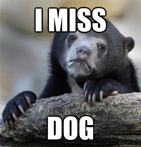 i miss dog - Confession Bear