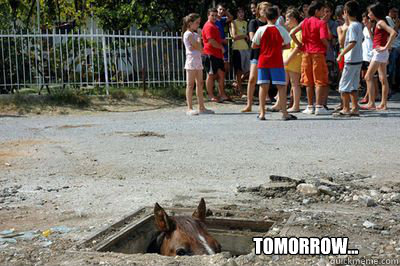 tomorrow -
