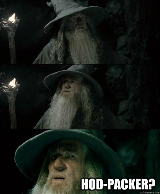 hodpacker - No memory Gandalf