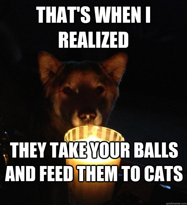 thats when i realized they take your balls and feed them to - Scary Story Dog