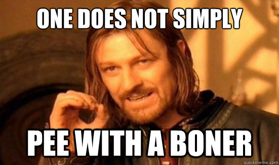 one does not simply pee with a boner - Boromir