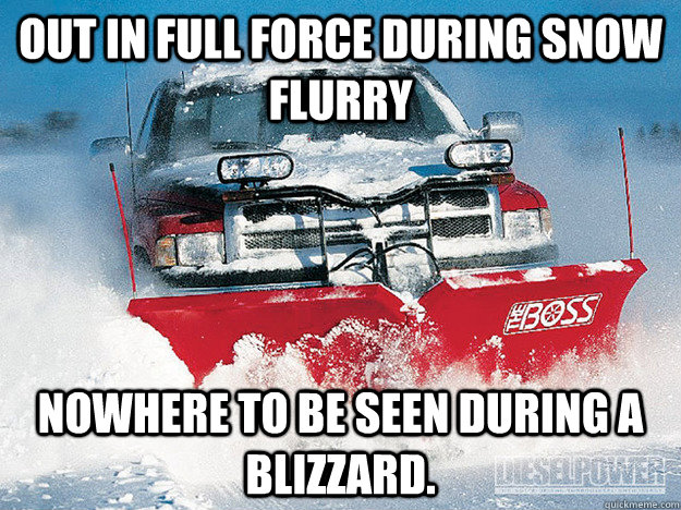 out in full force during snow flurry nowhere to be seen duri -