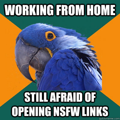 working from home still afraid of opening nsfw links - Paranoid Parrot