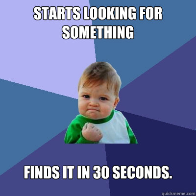 starts looking for something finds it in 30 seconds - Success Kid