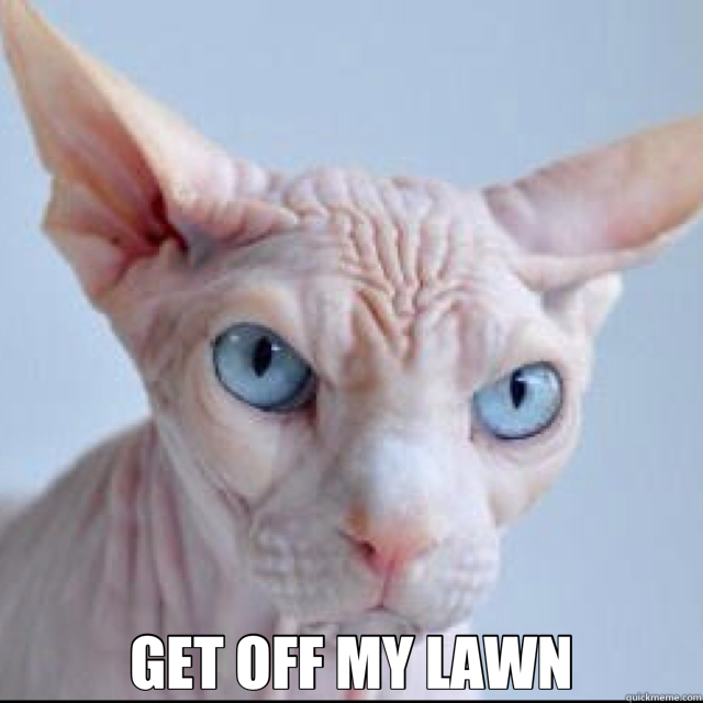 GET OFF MY LAWN - Grumpy Cat of the Future