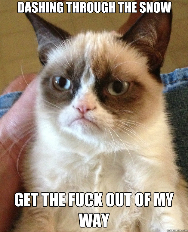 dashing through the snow get the fuck out of my way - Grumpy Cat